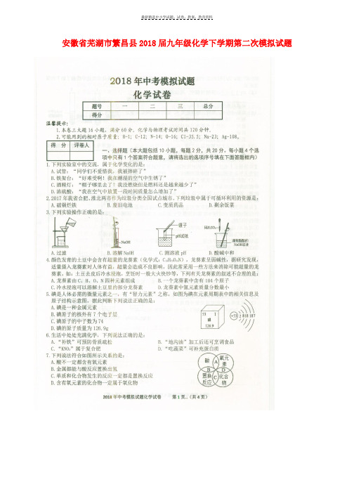 2018届九年级化学下学期第二次模拟试题扫描版