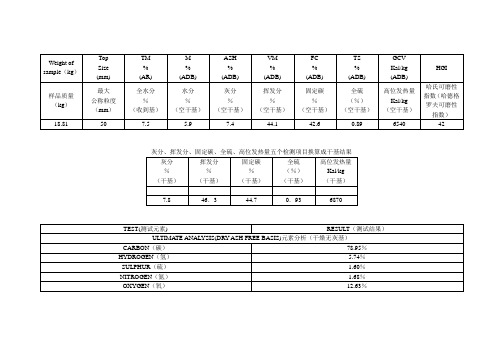 2010-2-21印尼煤炭国内质量分析报告中文b