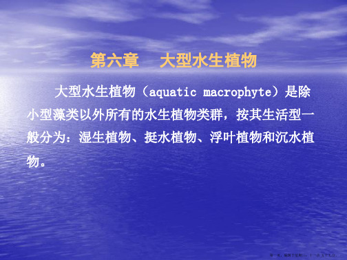 水生生物学-大型植物