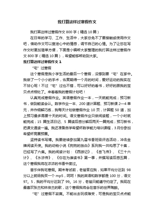 我打算这样过寒假作文