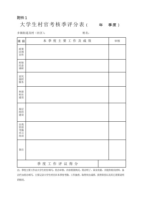 大学生村官考评表