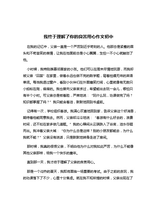 我终于理解了你的良苦用心作文初中