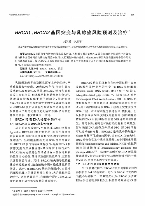 BRCA1、BRCA2基因突变与乳腺癌风险预测及治疗