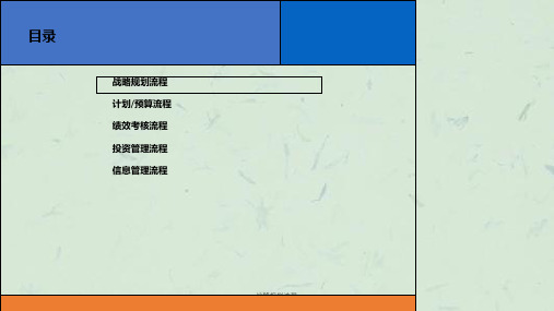 战略规划流程ppt课件
