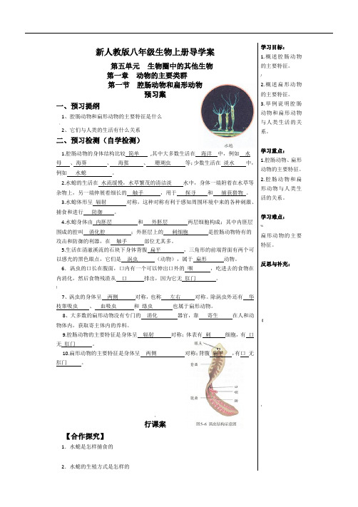 新人教版八年级上册生物导学案及答案