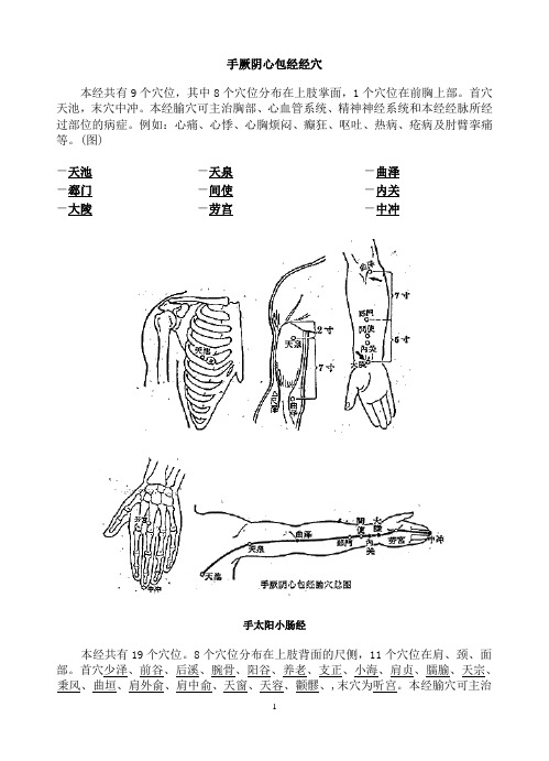 督脉