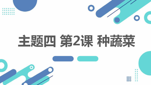 教科版小学三年级下册综合实践活动主题四 第2课 种蔬菜