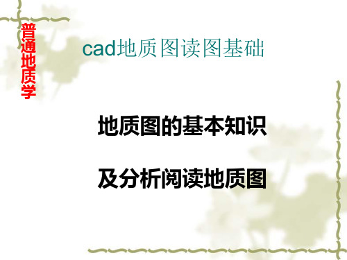 cad地质地形图读图基础解析