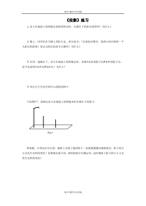 鲁教版-数学-九年级上册- 投影1 练习