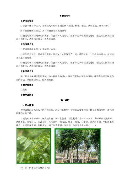 人教版小学语文六年级下册(课件+教案+单元试题)桃花心木  教案