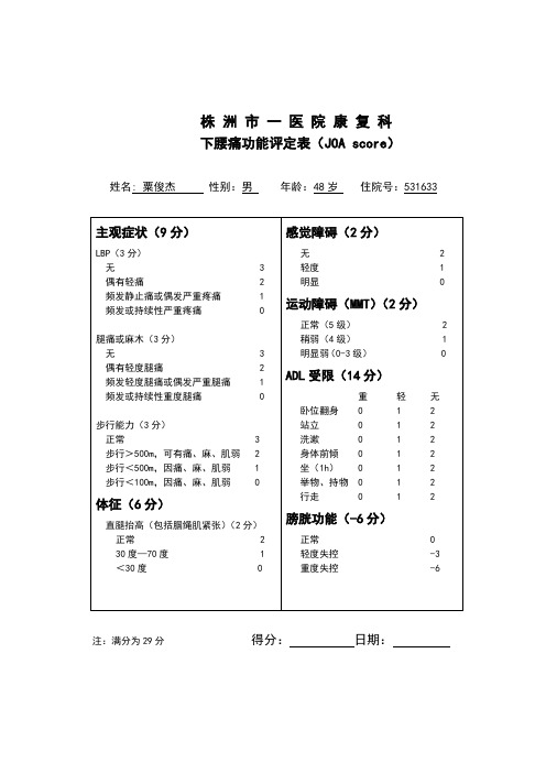 下腰痛功能评定表