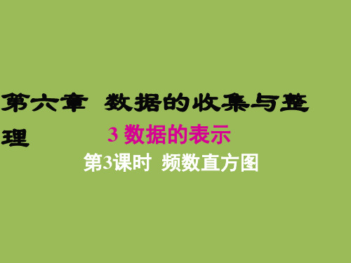 北师大版七年级上数学第六章数据的收集与整理6.频数直方图课件