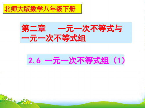 北师大版八年级数学下册第二章《一元一次不等式组 2》优课件