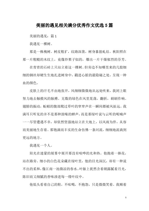 美丽的遇见相关满分优秀作文优选5篇