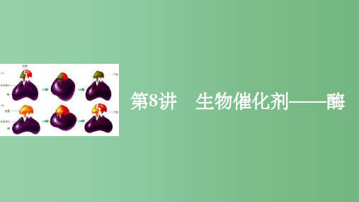 高考生物一轮复习 第三单元 细胞的能量代谢 第8讲 生物催化剂-酶 北师大版