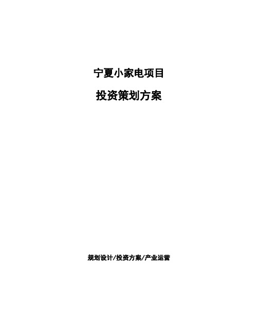 宁夏小家电项目投资策划方案