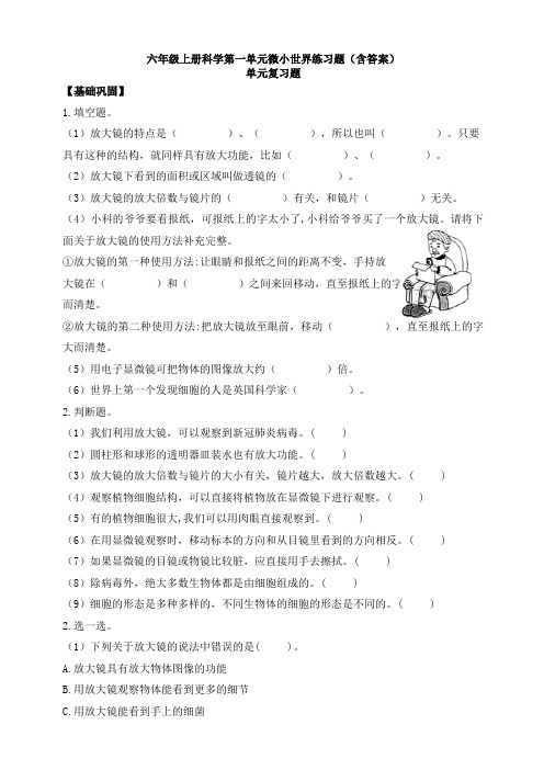 教科版小学科学六年级上册第一单元微小世界复习试题(1)(含答案)