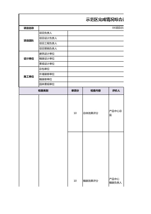 示范区完成情况综合评分表