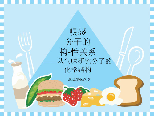 食品风味化学3.4 嗅感分子的构—性关系—从气味研究分子的化学结构