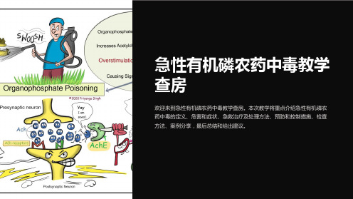 急性有机磷农药中毒教学查房