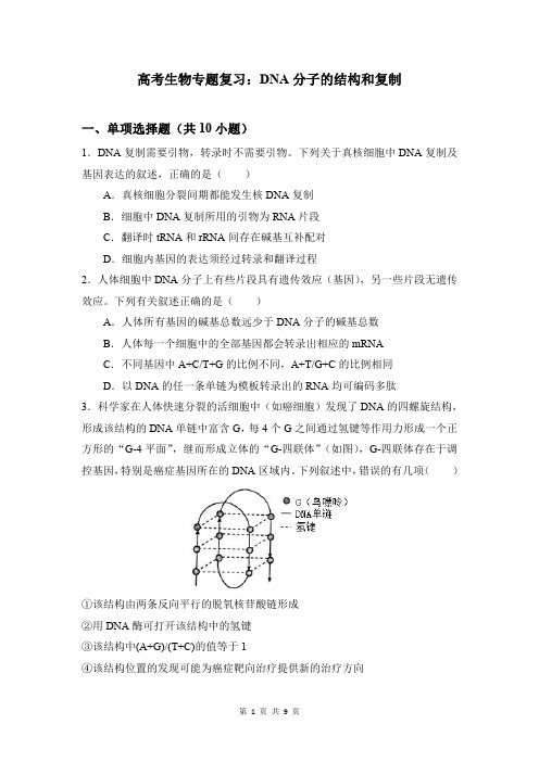 高考生物专题复习：DNA分子的结构和复制