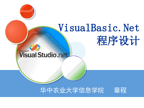 《VisualBasic Net程序设计》教学课件：第7章  常用控件和界面设计