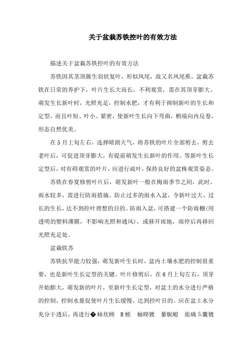 关于盆栽苏铁控叶的有效方法