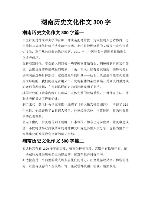 湖南历史文化作文300字