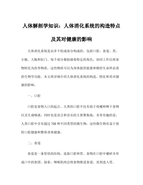 人体解剖学知识：人体消化系统的构造特点及其对健康的影响