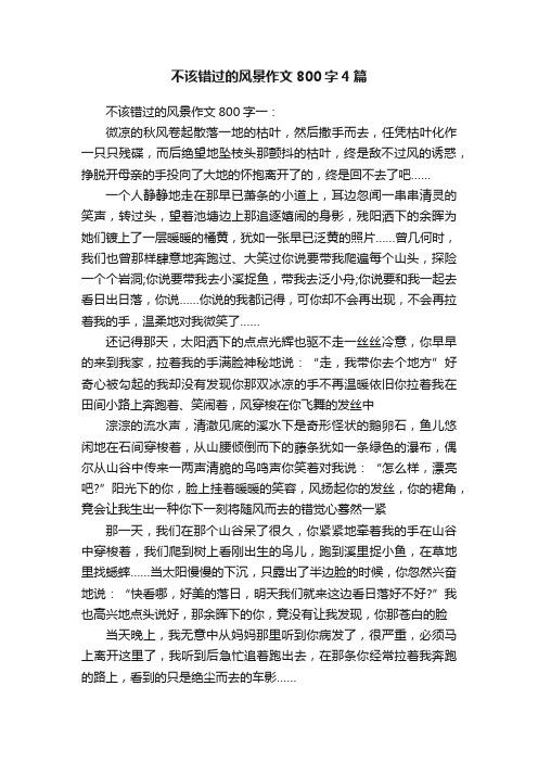 不该错过的风景作文800字4篇