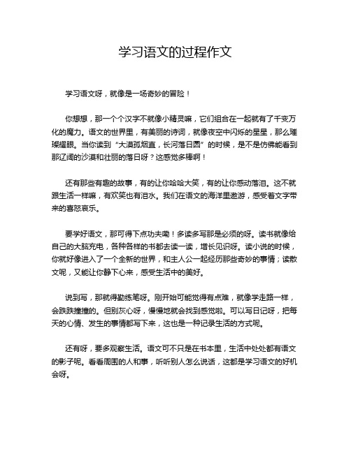 学习语文的过程作文