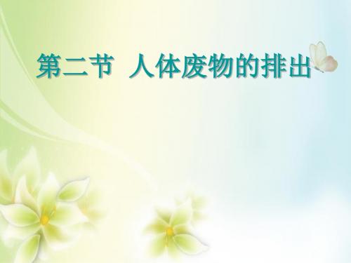 七年级生物下册 第十一章 第二节 人体废物的排出课件3 (新版)苏教版