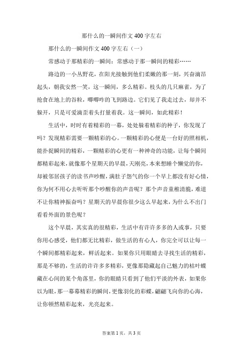 那什么的一瞬间作文400字左右