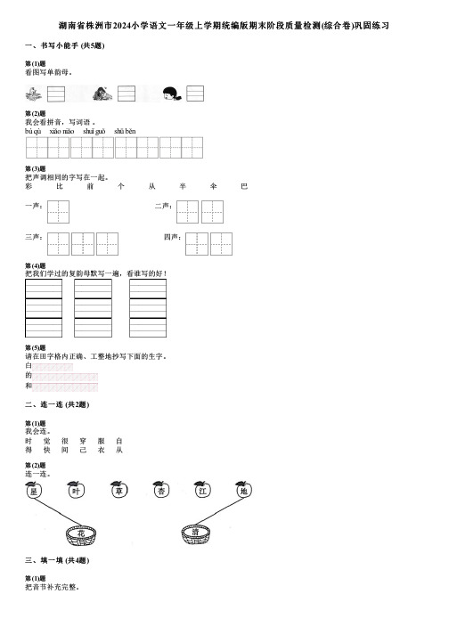 湖南省株洲市2024小学语文一年级上学期统编版期末阶段质量检测(综合卷)巩固练习