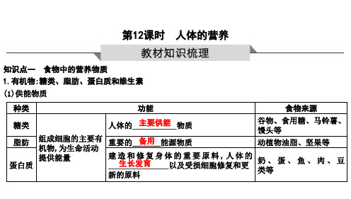 生物中考一轮复习第12课时 人体的营养(鲁科版)课件