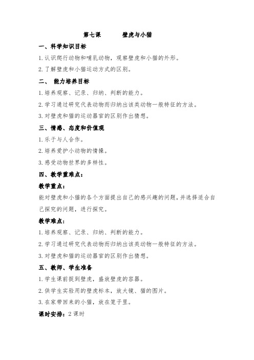 三年级上册科学教案-7壁虎与小猫 粤教版