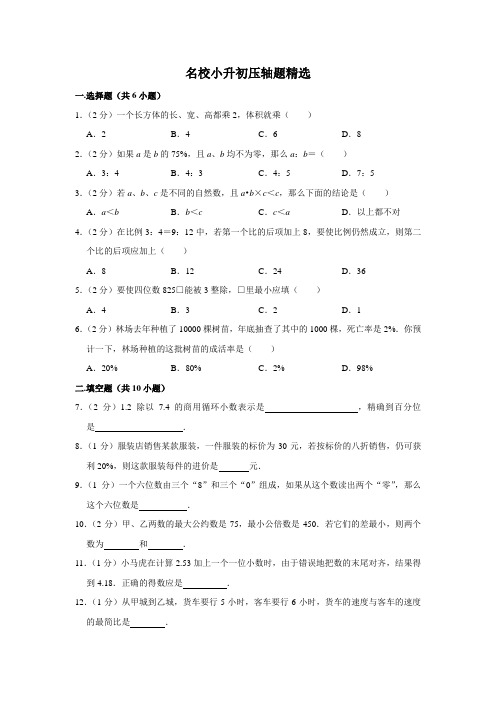 【压轴题】2021年数学名校小升初压轴题精选(一)(含答案、含解析)版