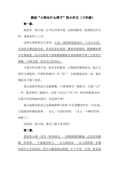 描述一下小狗长什么样子小作文三年级