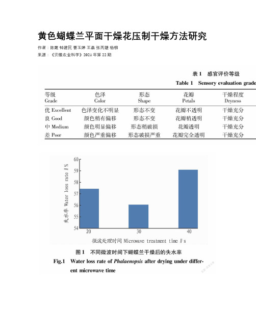 黄色蝴蝶兰平面干燥花压制干燥方法研究