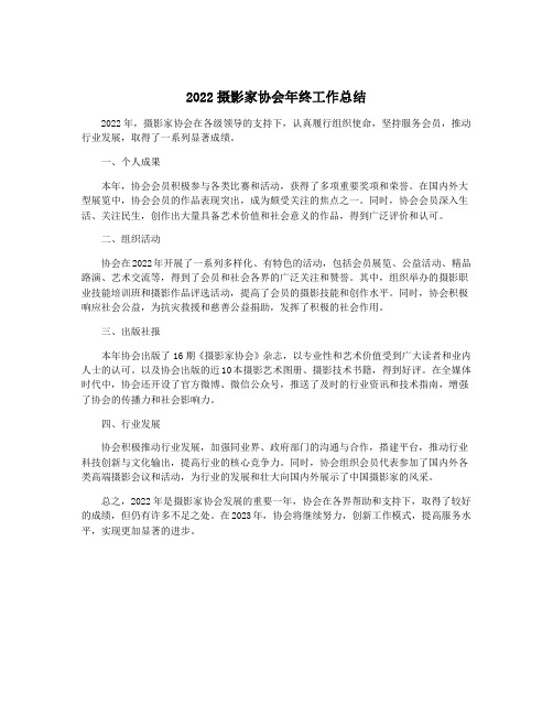 2022摄影家协会年终工作总结