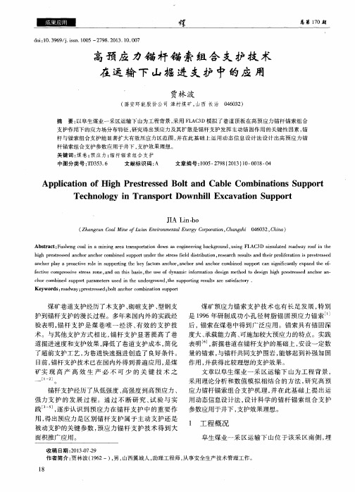 高预应力锚杆锚索组合支护技术在运输下山掘进支护中的应用