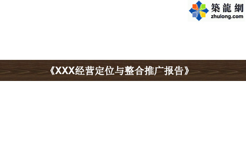 城市综合体项目定位与销售推广策略报告分析