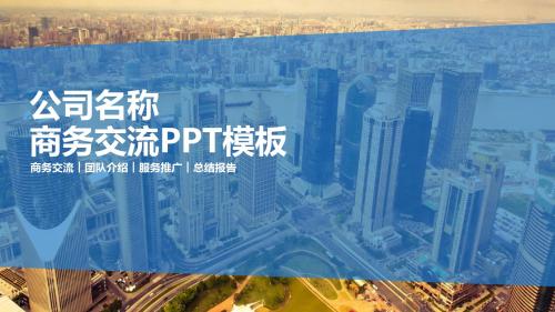 商务交流团队介绍服务推广总结报告模版ppt通用模板