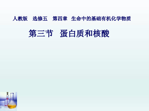 人教化学选修5第4章第三节蛋白质和核酸  课件