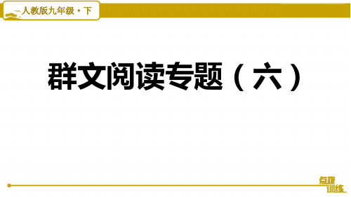 最新部编版九年级下册语文第六单元群文阅读专题(六)