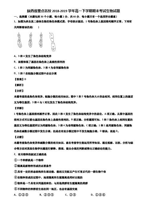 陕西省重点名校2018-2019学年高一下学期期末考试生物试题含解析