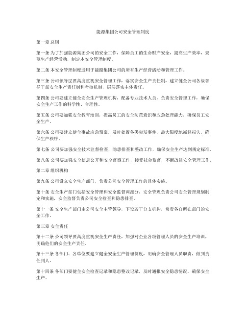 能源集团公司安全管理制度