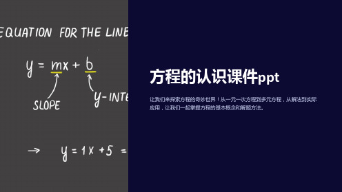 方程的认识课件