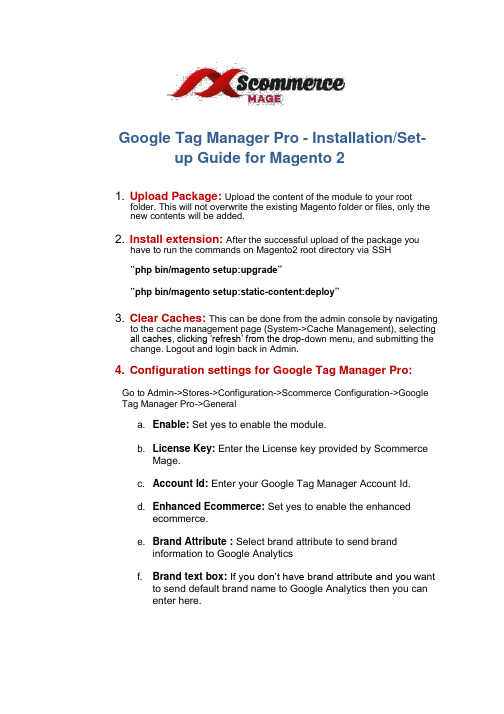 Google Tag Manager Pro 安装 设置指南 Magento 2说明书