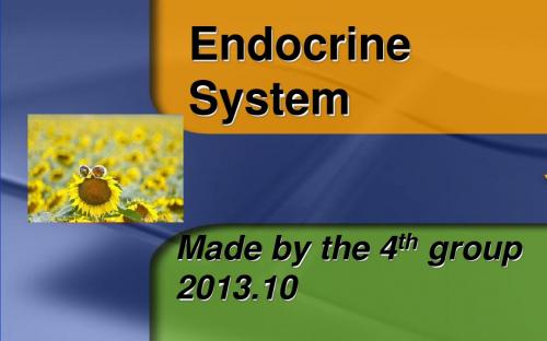 Endocrine System内分泌系统Diabetes糖尿病英文